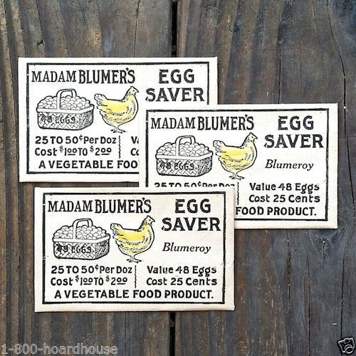 MADAM BLUMERS Egg Saver Envelope 1910s
