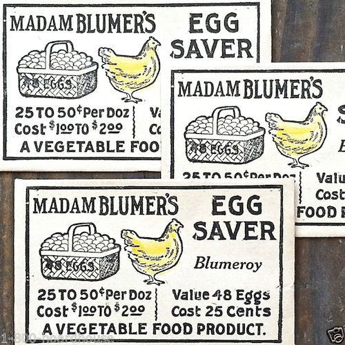 MADAM BLUMERS Egg Saver Envelope 1910s