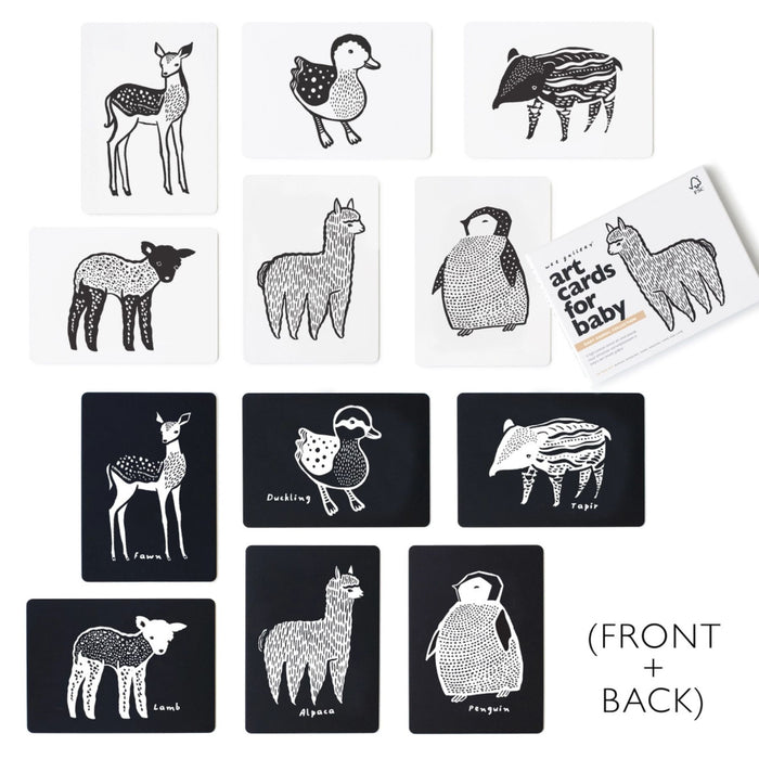 Art Cards for Baby