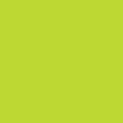 Astrobright Terra Green 65# Cardstock