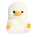 Aurora - Rolly Pets - Delight Duck