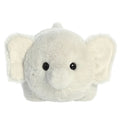 Aurora - Spudster -  Eri Elephant