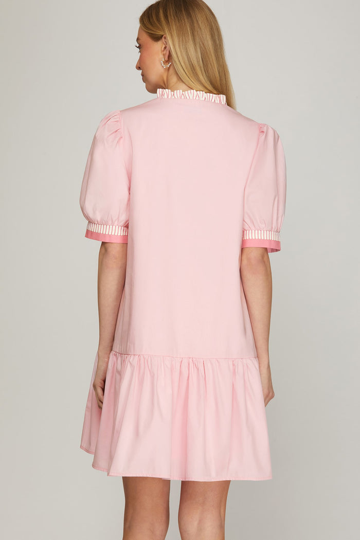 Bella Embroidered Puff Sleeve Mini Dress - Light Pink