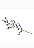Blue Berries Felt Branch Talla Imports