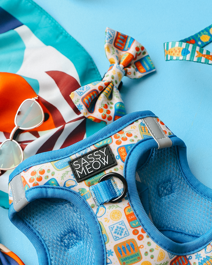 A Cat Bowtie - Portofino by Sassy Woof, a matching harness from the Portofino Cat Collection, white sunglasses, and a colorful scarf are displayed on a light blue surface.