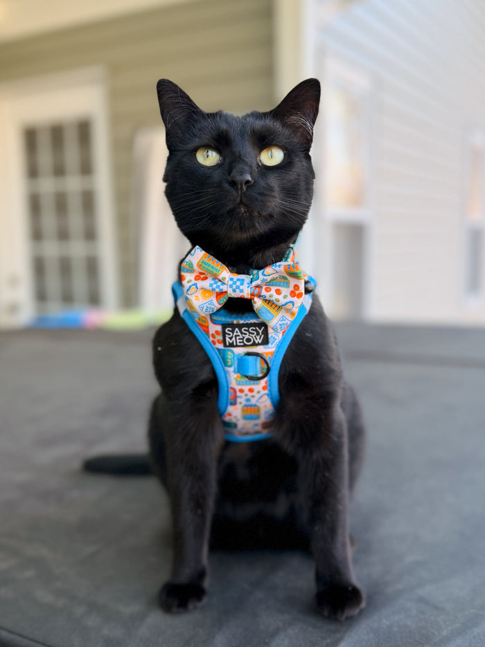 INFLUENCER_CONTENT | @FELINE.CUTE | COLLAR & HARNESS SIZE: S