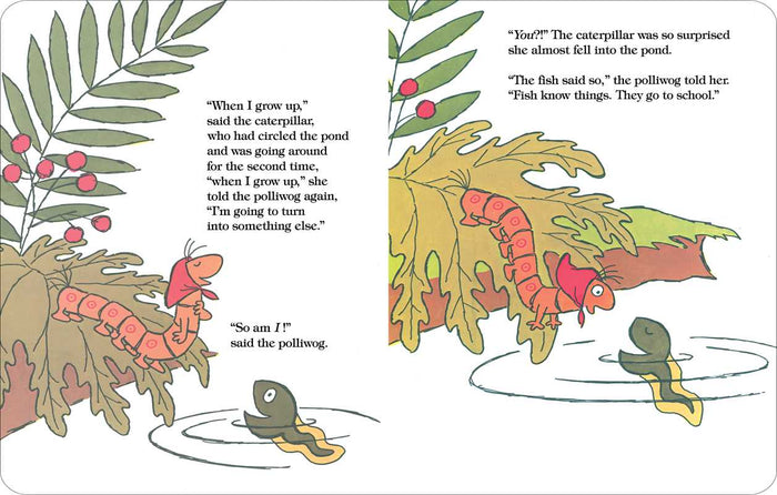 Caterpillar and the Polliwog by Jack Kent: Board Books; 34 pages / English Simon & Schuster