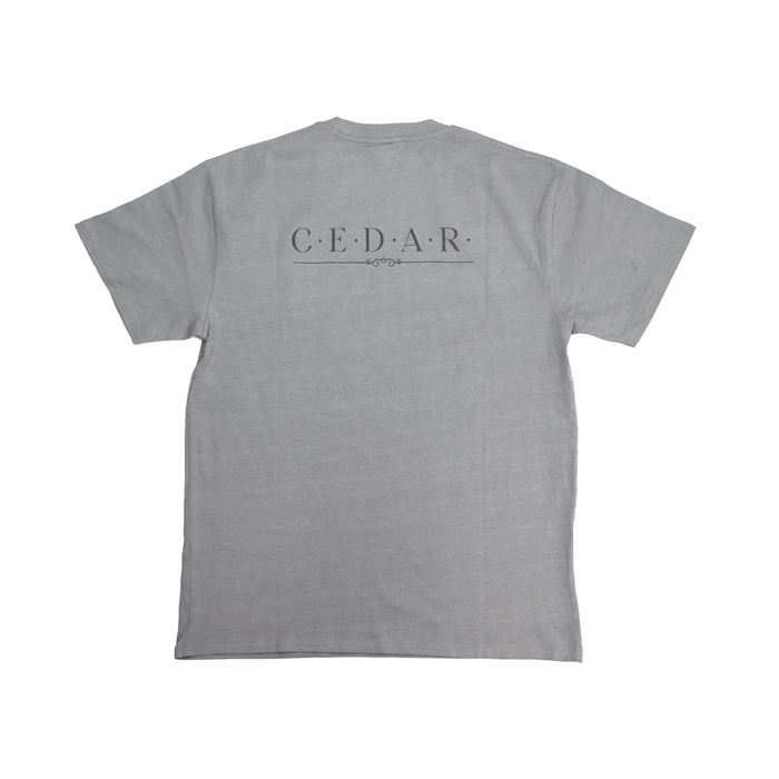 Flat lay back view of Cedar Medicine Tee in grey with bold text design