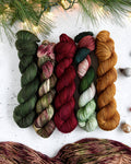 Destination Yarn fingering weight yarn Christmas Vacation 5 skein Set