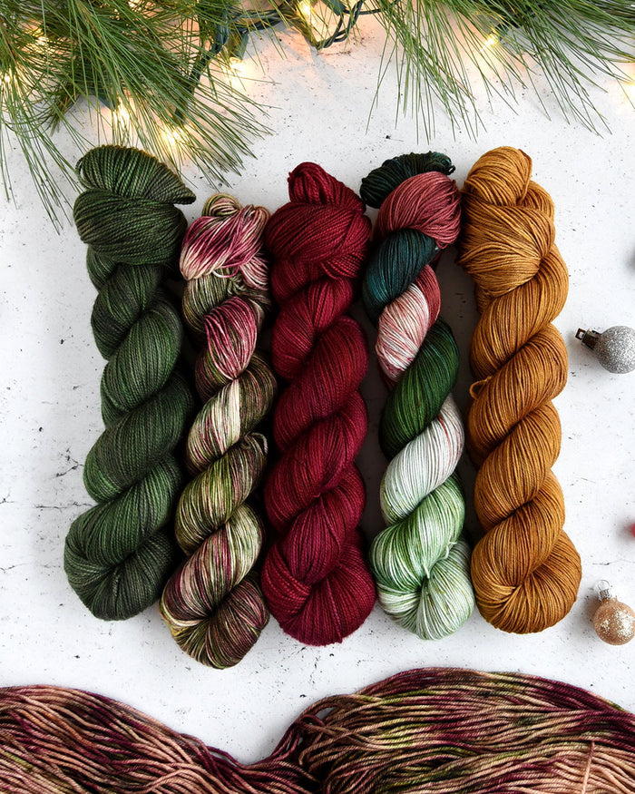 Destination Yarn fingering weight yarn Christmas Vacation 5 skein Set