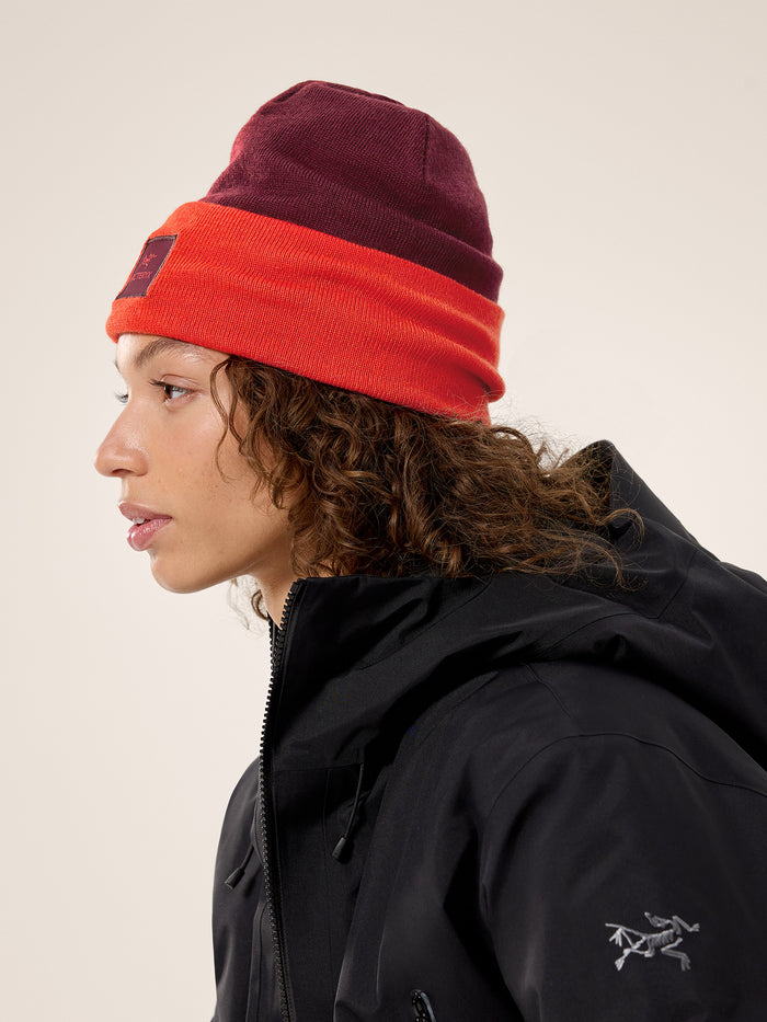 Color Block Toque