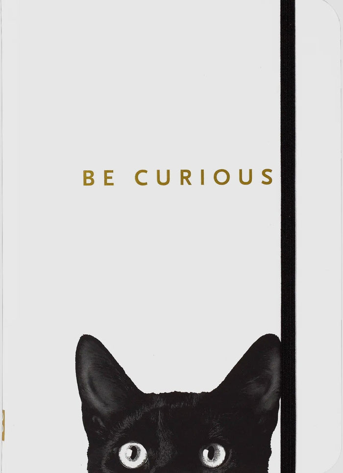 Curious Cat Journal Peter Pauper Press journal
