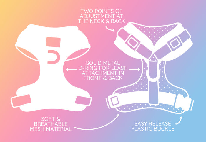 Sunbean Adjustable Dog Harness by Sassy Woof displayed on a pastel background, featuring two adjustment points at the neck and back for a tailored fit, sturdy metal D-ring for secure leash attachment, soft breathable mesh for enhanced comfort, and an easy-release plastic buckle. Ideal as a no-pull harness for Dachshunds and other breeds.