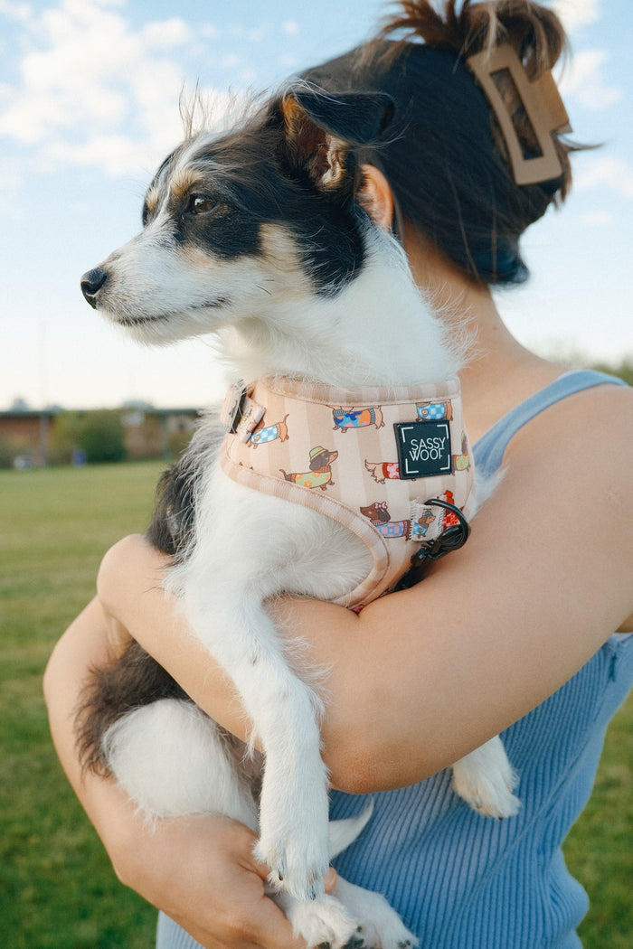 INFLUENCER_CONTENT | @SUNBEAN | HARNESS SIZE: S