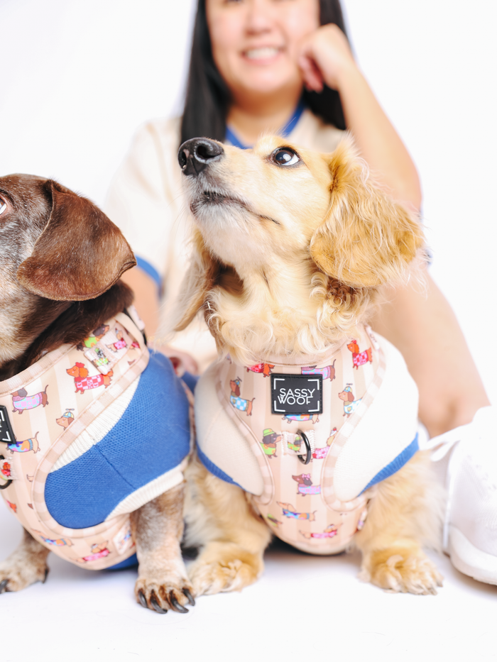 INFLUENCER_CONTENT | @MAYATHEDOX | HARNESS SIZE: XS