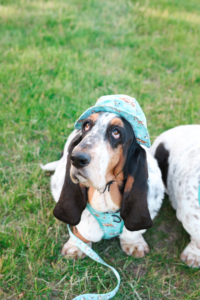 INFLUENCER_CONTENT | @DOLLY_JEAN_THE_BASSET | HAT SIZE: M