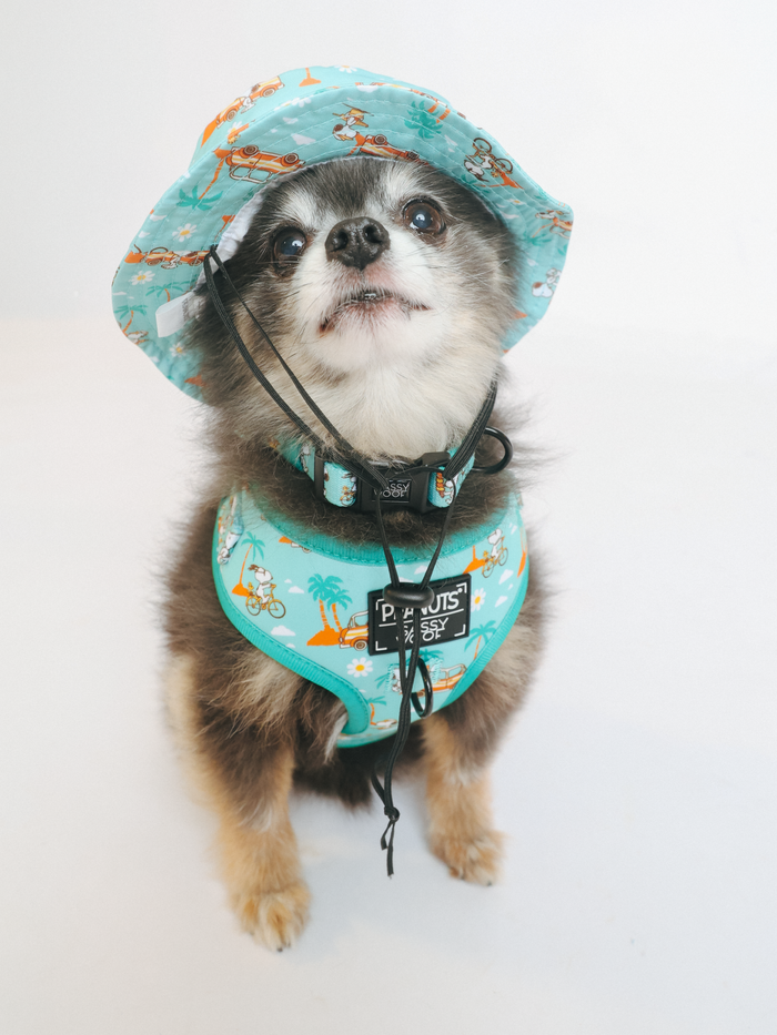 INFLUENCER_CONTENT | @PEANUTANDLOIS | HAT SIZE: S