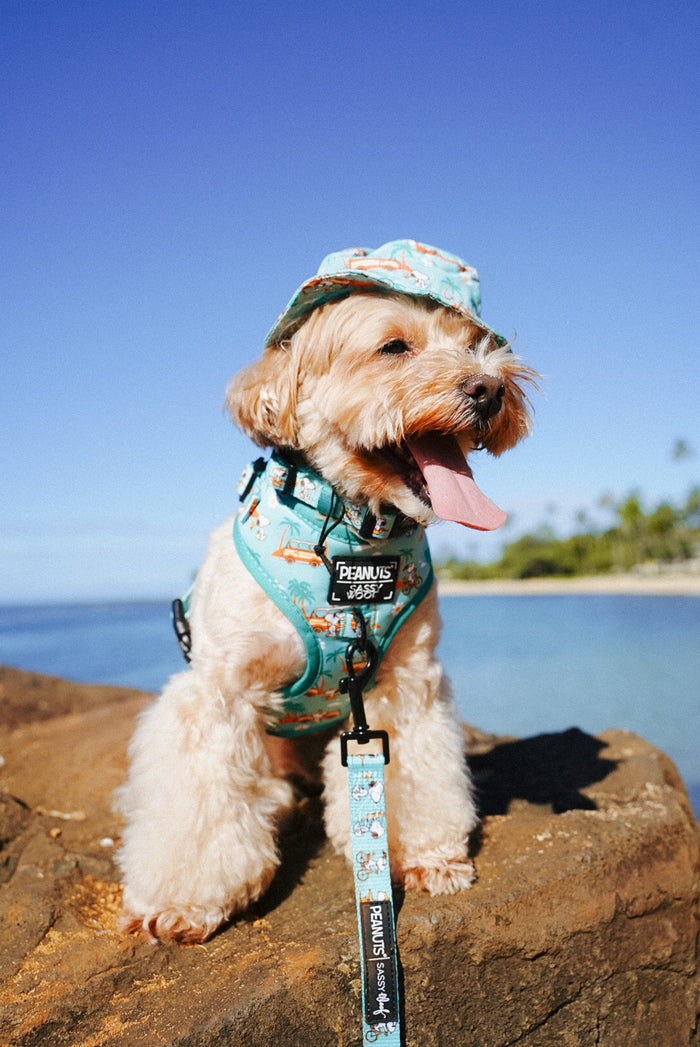 INFLUENCER_CONTENT | @MOCHIII808 | HAT SIZE: S