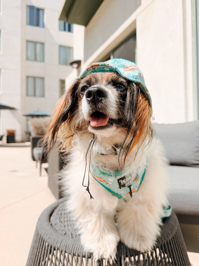 INFLUENCER_CONTENT | @RESCUINGRUTHIE | HAT SIZE: S