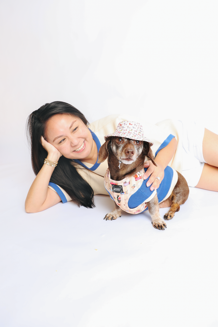 INFLUENCER_CONTENT | @WINSTONTHEDOX | COLLAR SIZE: S & HARNESS SIZE: XS