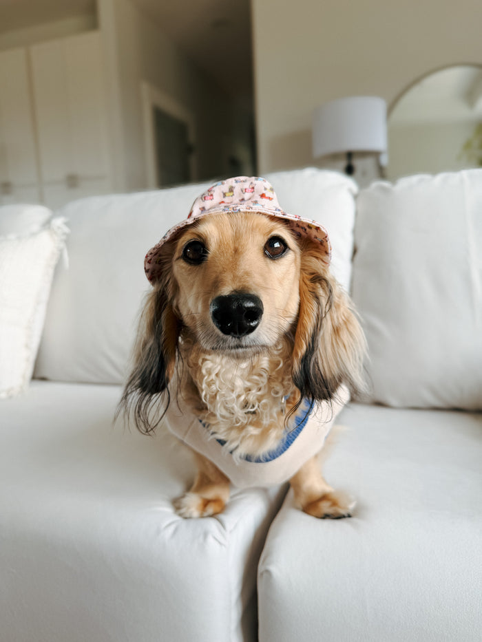 INFLUENCER_CONTENT | @WINSTONTHEWEENIEMAN | BUCKET HAT SIZE: S