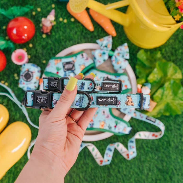 A hand with yellow nail polish holds two Sassy Woof "Chillin with my Gnomies" blue neoprene dog collars with playful designs, surrounded by gardening tools, toy veggies, bows, and greenery on artificial grass.