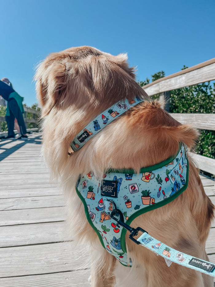 INFLUENCER_CONTENT | @CREW.THE.GOLDEN.PUP | SIZE L