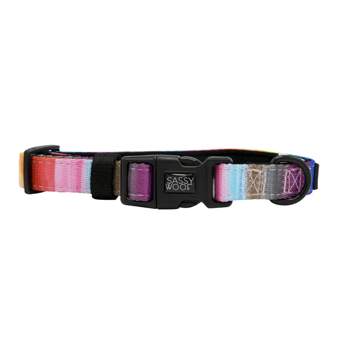 The Dog Collar - Love You Fur You by Sassy Woof is a multicolored LGBTQ collar with a black plastic buckle, adjustable strap, and metal leash ring.
