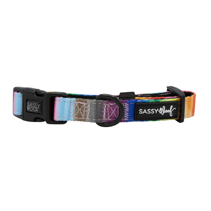 The Sassy Woof "Love You Fur You" dog collar features a vibrant rainbow gradient, adjustable fit, black plastic buckle, metal ring, and two labels—one with "Sassy Woof" and one with a paw print logo.