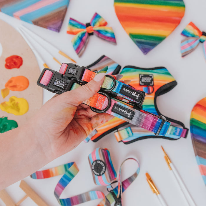 A hand holds two Sassy Woof Dog Collar - Love You Fur You, featuring rainbow stripes. In the background are matching harnesses, bows, a heart-shaped item, paintbrushes, a palette, and ribbon—all with vibrant rainbow designs.