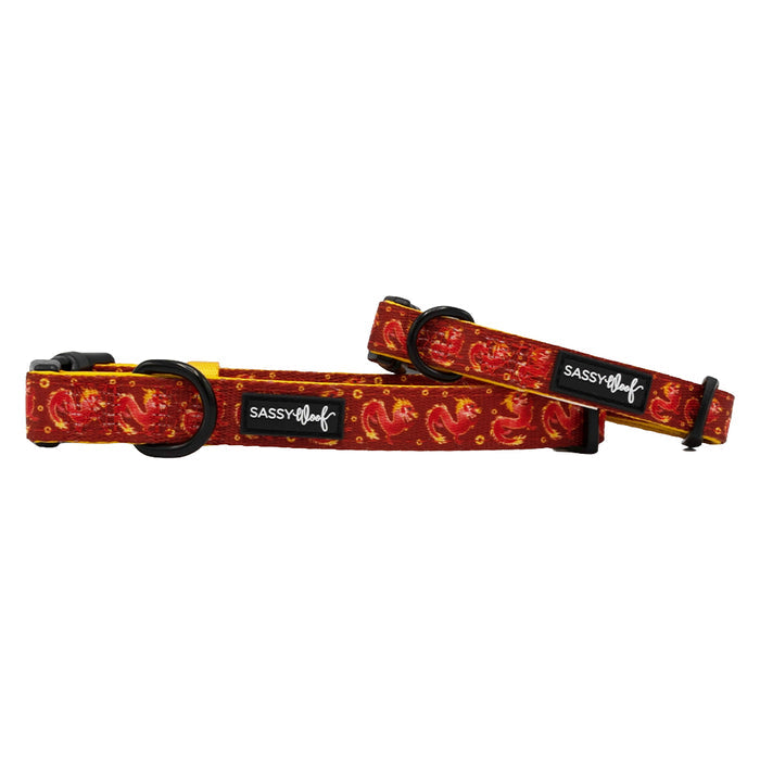 Two Sassy Woof "Lucky Dragon" dog collars with red and orange paisley patterns, black buckles and rings, plus a black Sassy Woof logo tag are shown on a white background.
