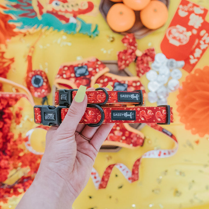 A hand with yellow-painted nails holds two Sassy Woof Dog Collar - Lucky Dragon collars with dragon patterns. Festive Chinese New Year decor, oranges, red envelopes, and gold coins are displayed on a yellow background.