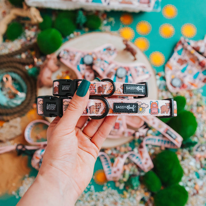 A hand with green-painted nails holds two colorful Sassy Woof Dog Collar - National Bark collars against a vibrant backdrop of more collars, green moss, flowers, and outdoor dog accessories.