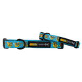 Two blue Sassy Woof Dog Collar - Nickelodeon CatDog™ collars with cartoon designs and black plastic buckles, labeled CAT DOG and SASSY Woof, combine comfort and style for your pet.