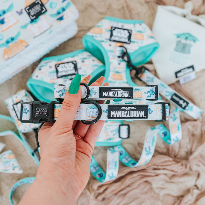 A hand with green nails holds two Sassy Woof Dog Collars - STAR WARS™ The Child™, featuring a light blue and white Baby Yoda design, with matching harnesses and leash accessories in the background.