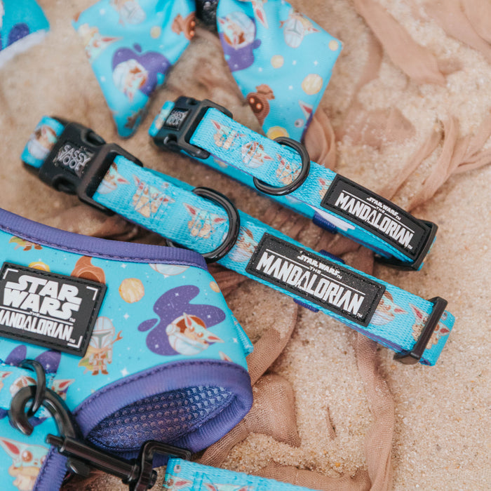 The Sassy Woof Dog Collar - STAR WARS™ The Mandalorian™ features adjustable comfort, secure leash attachment, and fun Mandalorian designs, including logos and cartoon characters, all on durable blue neoprene.
