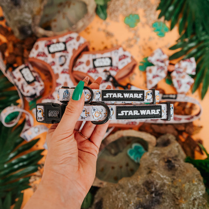 A hand with green nails holds two Sassy Woof Dog Collar - STAR WARS™ The Rebel Alliance, with matching harnesses, bows, and leashes displayed among green leaves and rocks on an orange background.