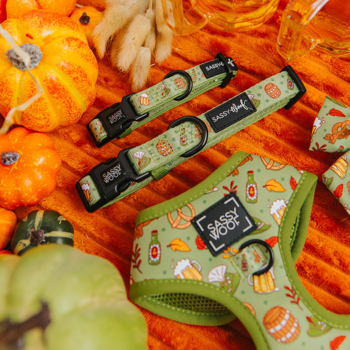 The Sassy Woof "Wurst Behavior" dog collar features fall-themed designs on vibrant orange neoprene, adorned with pumpkins and autumn decorations. This adjustable collar displays the Sassy Woof logo for a festive, stylish look.