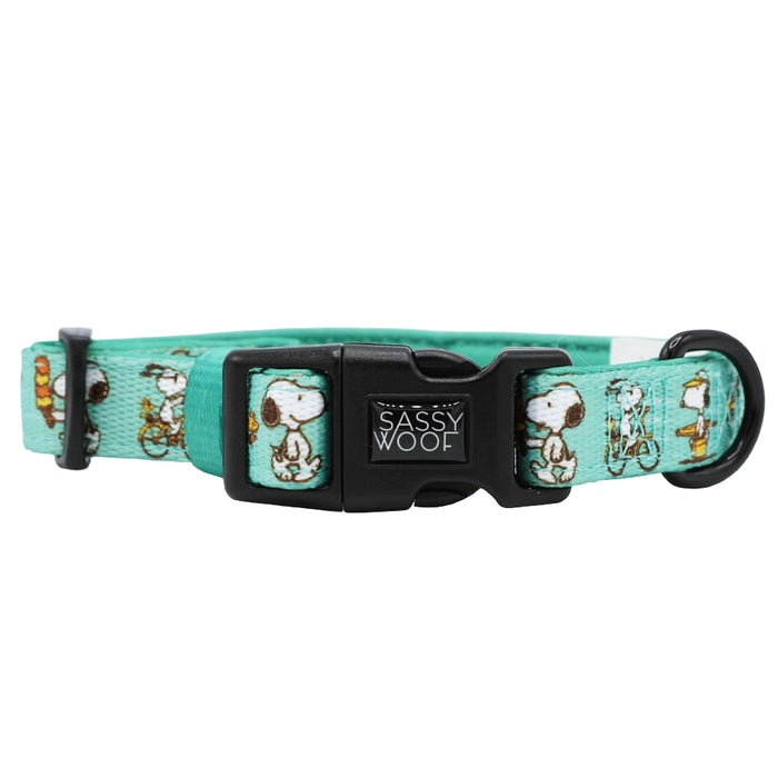 Introducing the Dog Collar Three Piece Bundle - Peanuts™ Road Tripping by Sassy Woof—a vibrant turquoise collar featuring a sturdy black plastic buckle adorned with the “Sassy Woof” logo. Snoopy cartoon images from the Peanuts Road Trippin’ collection are printed along the band, making this collar a stylish and playful accessory for adventurous pups.