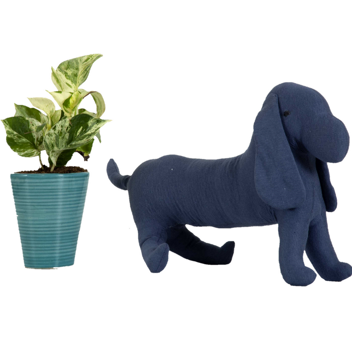 Dog Knitted Dark Blue Stuffed/Plush/Soft Pet Toy | 100% Premium Cotton - Mojopanda Organic  Store