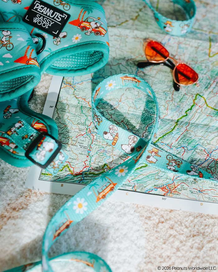 A Sassy Woof Dog Leash - Peanuts™ Road Tripping, featuring playful Snoopy designs, is displayed on a colorful map with orange sunglasses. Sunlight highlights this adventure-ready gear for dogs.