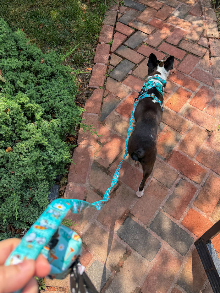 INFLUENCER_CONTENT | THECHUNKY_AND_THEMONKEY | COLLAR SIZE: S & HARNESS SIZE: XS