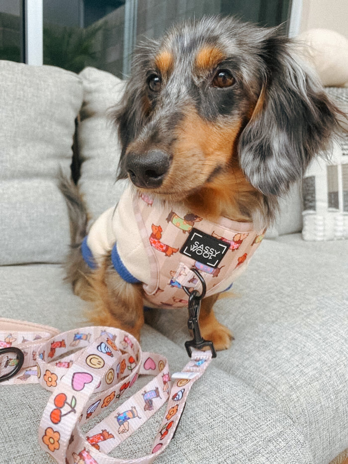 INFLUENCER_CONTENT | @HARRYANDBARBIEZ_WORLD | HARNESS SIZE: S