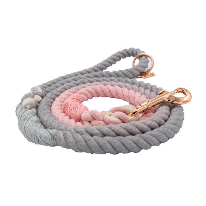 The Sassy Woof Dog Rope Leash - Daydream features a hand-crafted ombre design in pastel blue, pink, and cream, with gold-colored metal clips and rings.
