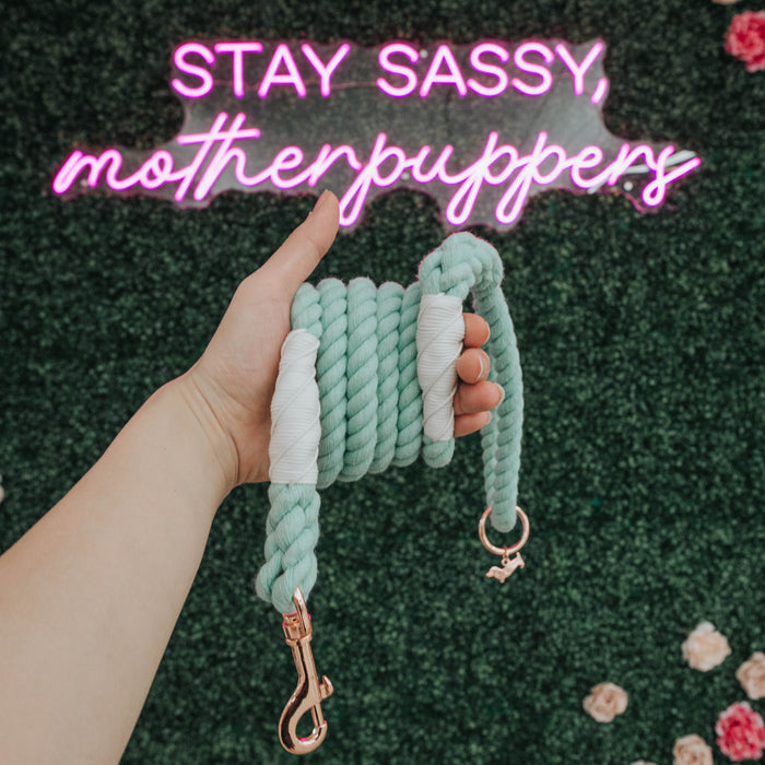 A hand holds Sassy Woof’s Dog Rope Leash - Mint to Be, featuring rose gold hardware, against a green backdrop. Bright flowers dot the floor and a neon pink “STAY SASSY, motherpuppers” sign glows above.