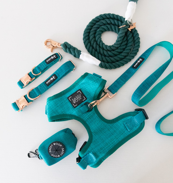 A teal and green Sassy Woof Dog Waste Bag Holder - Napa is arranged with a harness, leash, and collars from the green collection on a white background.