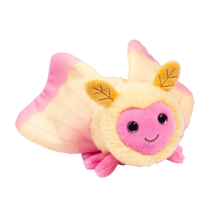 Douglas - Rosy Maple Moth