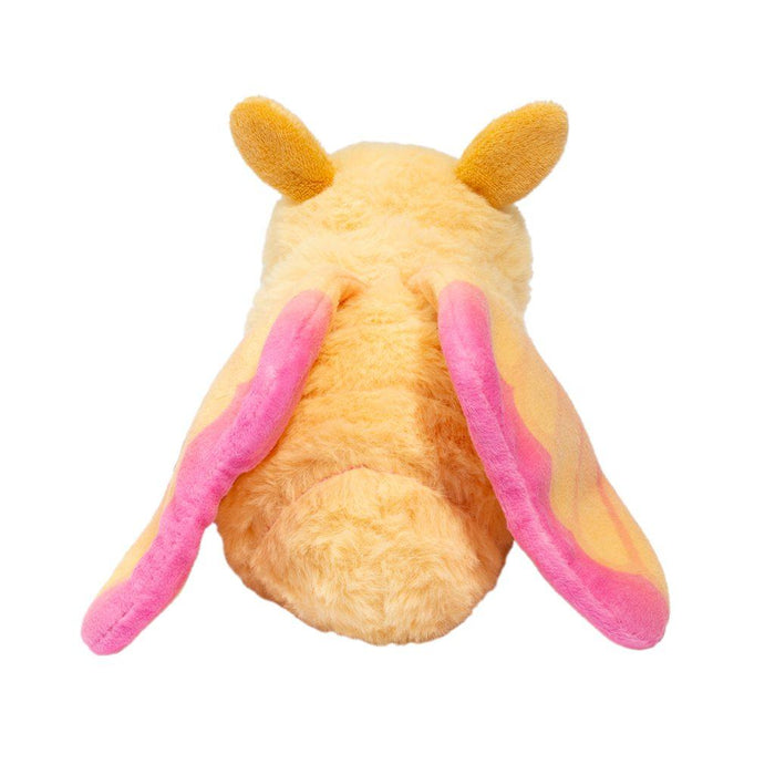 Douglas - Rosy Maple Moth
