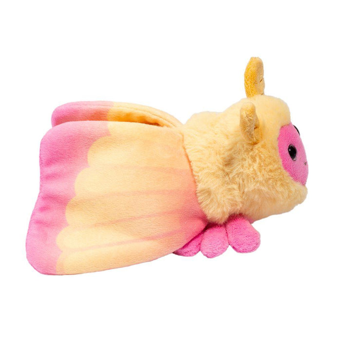 Douglas - Rosy Maple Moth