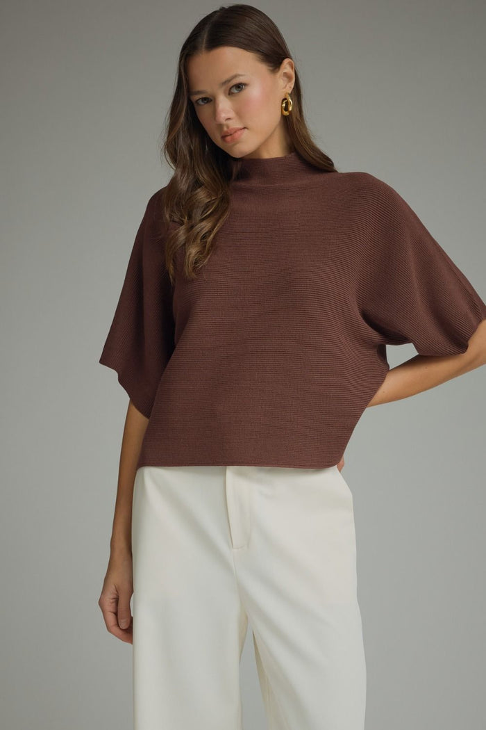 ENTRO Mock Neck Short Sleeve Sweater Top In Brown